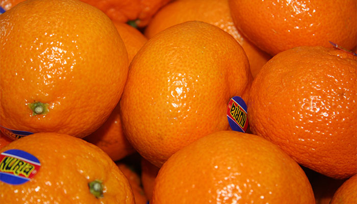 桔子的功效与作用 桔子图片